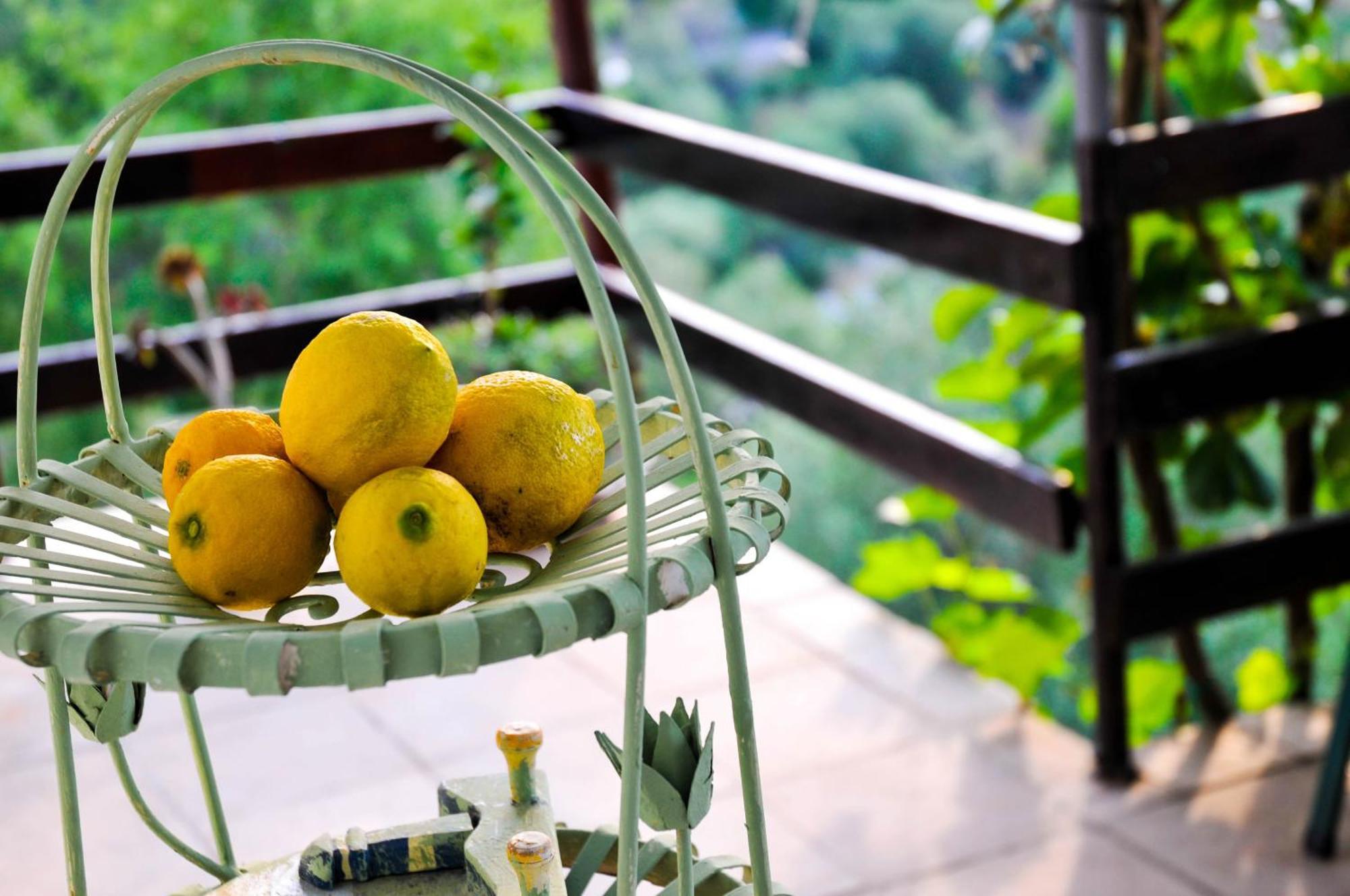 Bellavista Peljesac Peninsula Bed & Breakfast Dubrava  Phòng bức ảnh