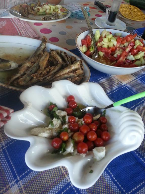 Bellavista Peljesac Peninsula Bed & Breakfast Dubrava  Ngoại thất bức ảnh